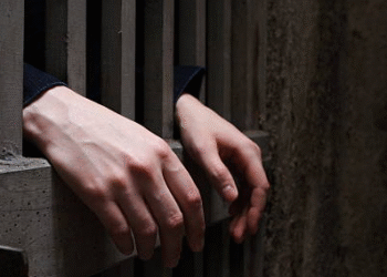 বিশ্ব স্বাস্থ্য সংস্থার নাম করে কোটি টাকা প্রতারণা! দিল্লিতে কলকাতা পুলিশের হাতে গ্রেফতার তিন সন্দেহভাজন নাইজেরিয়ান