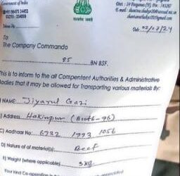 সীমান্তে (Border) পাচার-অনুপ্রবেশ দুটোই চলছে রমরমিয়ে