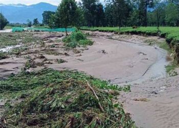 উত্তরবঙ্গে ক্ষতিগ্রস্ত কৃষকদের পাশে রাজ্য,, বাংলা শস্যবিমা প্রকল্পে নাম তুলতে বিশেষ শিবির