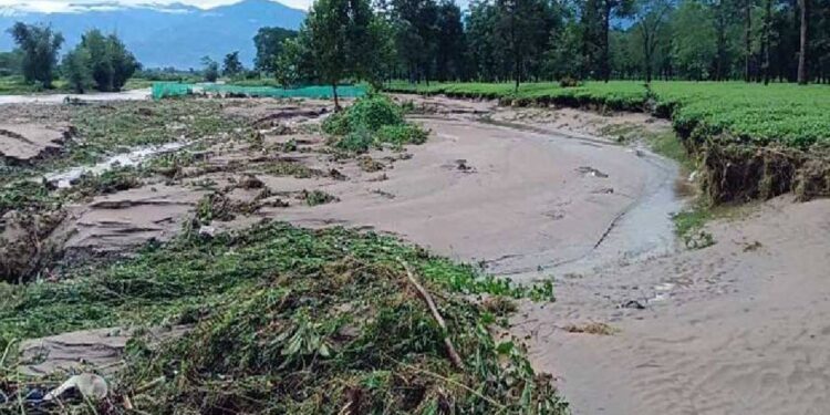 উত্তরবঙ্গে ক্ষতিগ্রস্ত কৃষকদের পাশে রাজ্য,, বাংলা শস্যবিমা প্রকল্পে নাম তুলতে বিশেষ শিবির